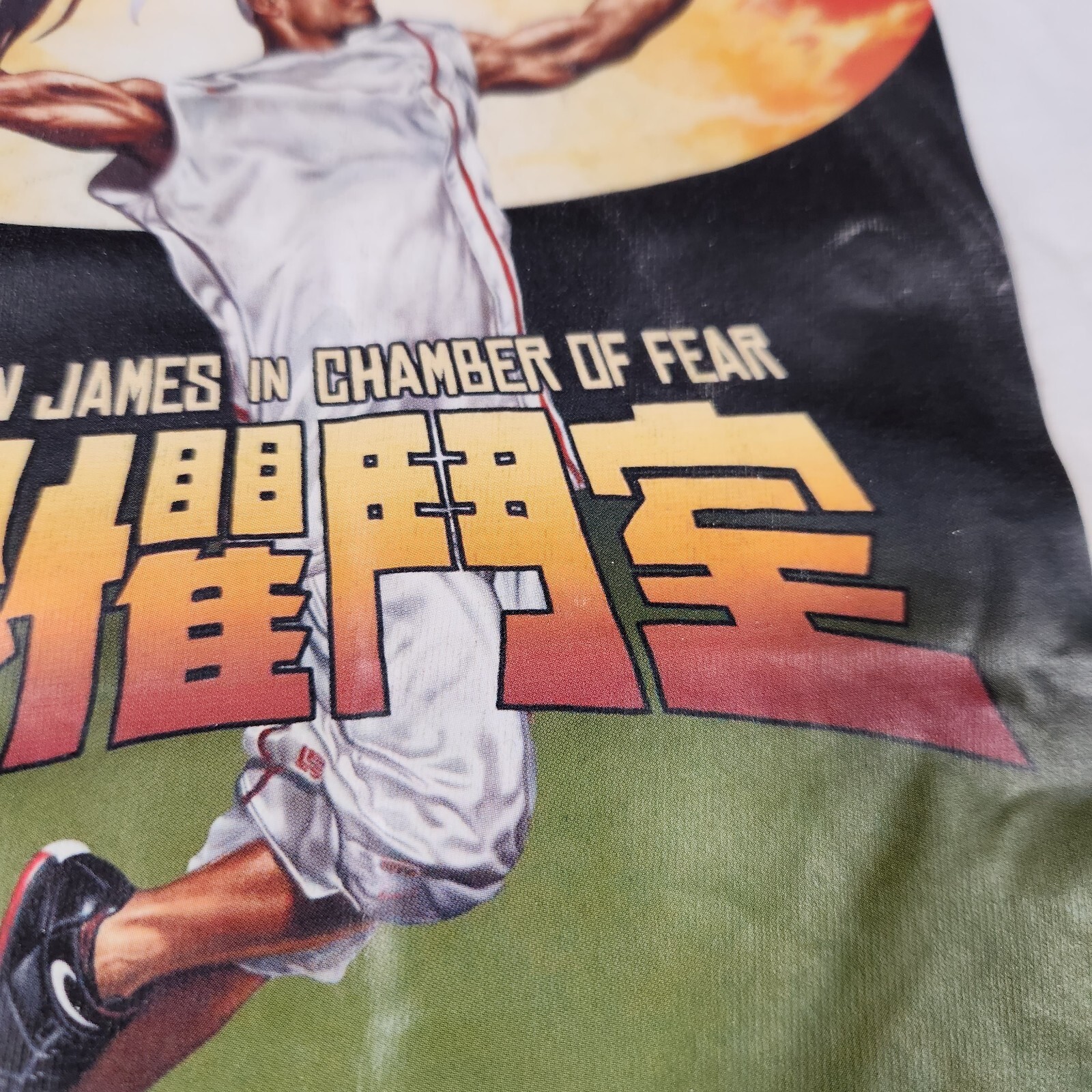 Vintage Nike Y2K LeBron James Shirt Mens 2XL White Chamber of Fear Kung-Fu 2004 gallery