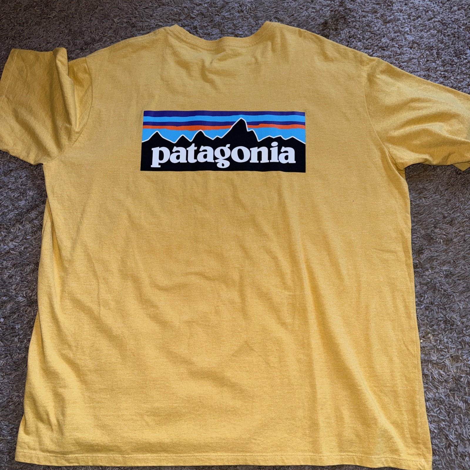 Patagonia Shirt Mens XL Yellow Line Logo Badge Responsibili-Tee Graphic Tee gallery