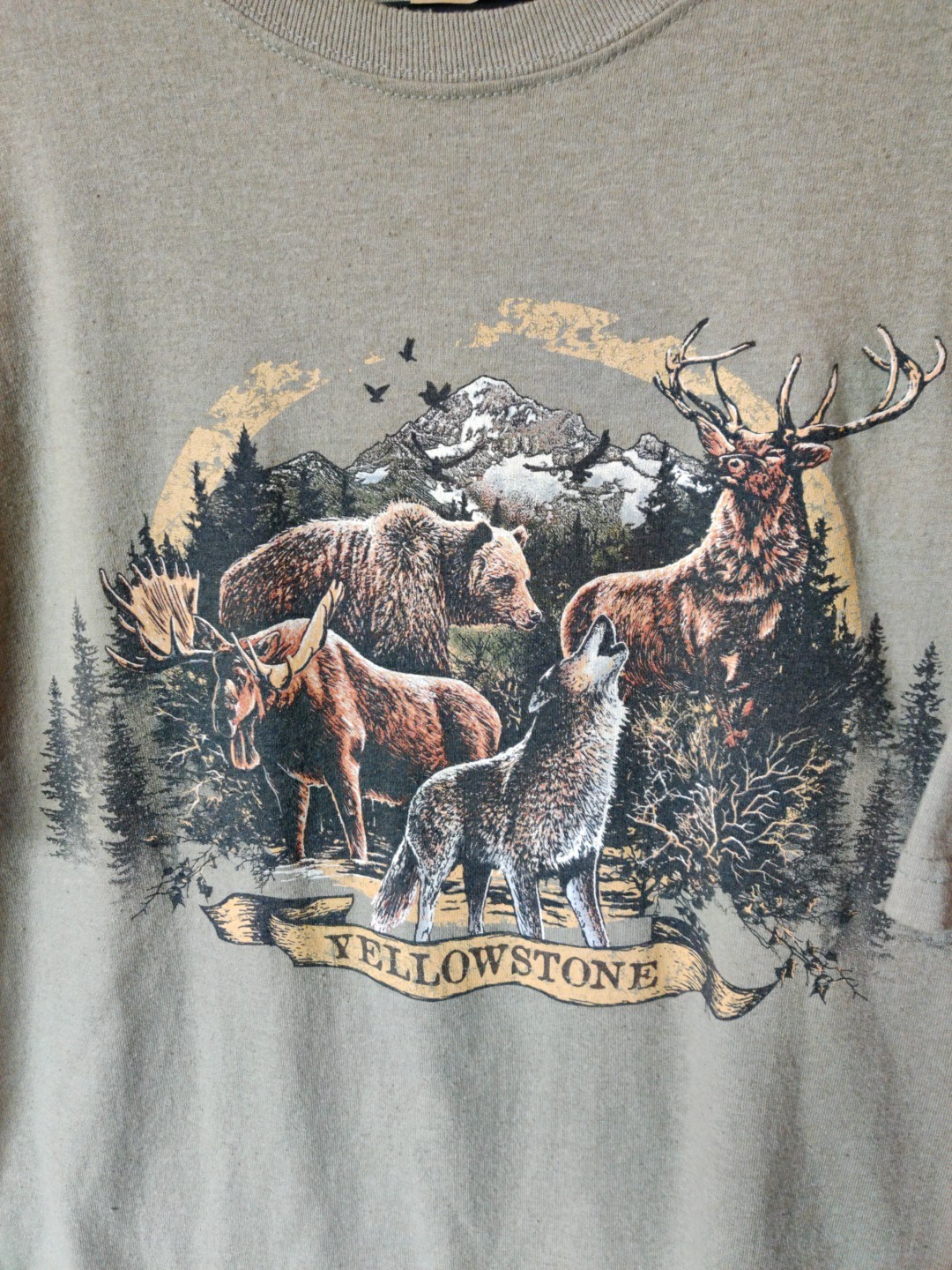 Eco Mountain Yellowstone National Park Graphic T-Shirt Mens Large Green Made USA gallery