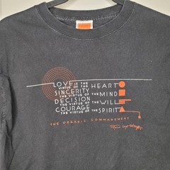 Frank Lloyd Wright Hanes Organic Commandment Shirt Mens Medium Black Graphic Tee