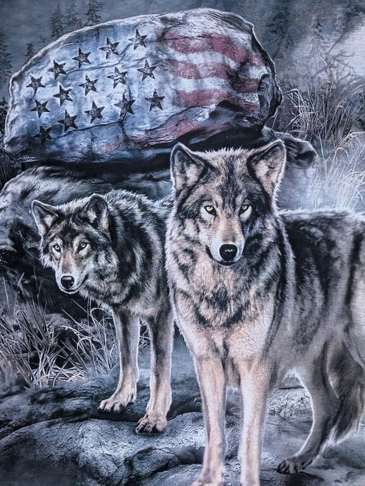 The Mountain T-Shirt Men’s Gray American Wolves Rock XL Retired Logo #1150 NWOT
