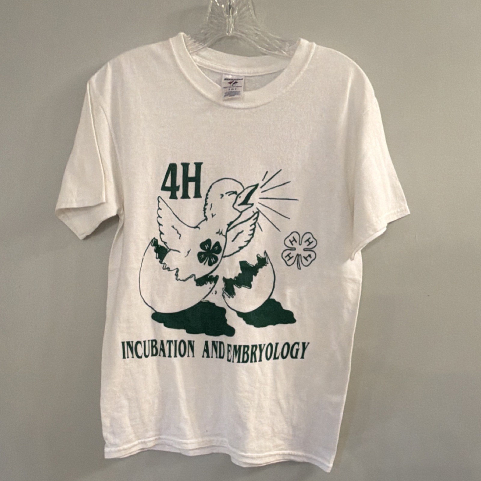 VTG 90s/00s 4-H Club T-shirt, Jerzees, Incubation & Embryology, EUC, Adult Sz SM gallery
