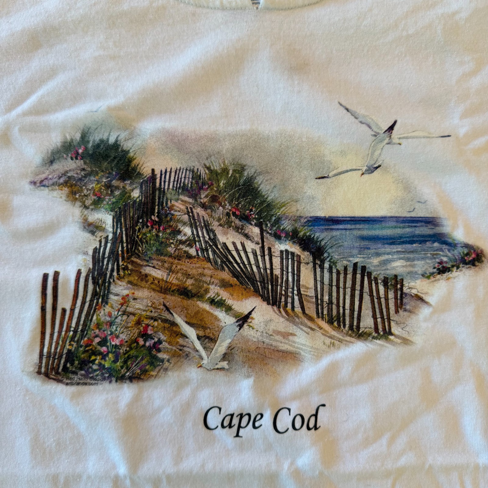 Vintage Hanes Cape Cod White Souvenir T Shirt Beach Dunes Seagulls Tee gallery