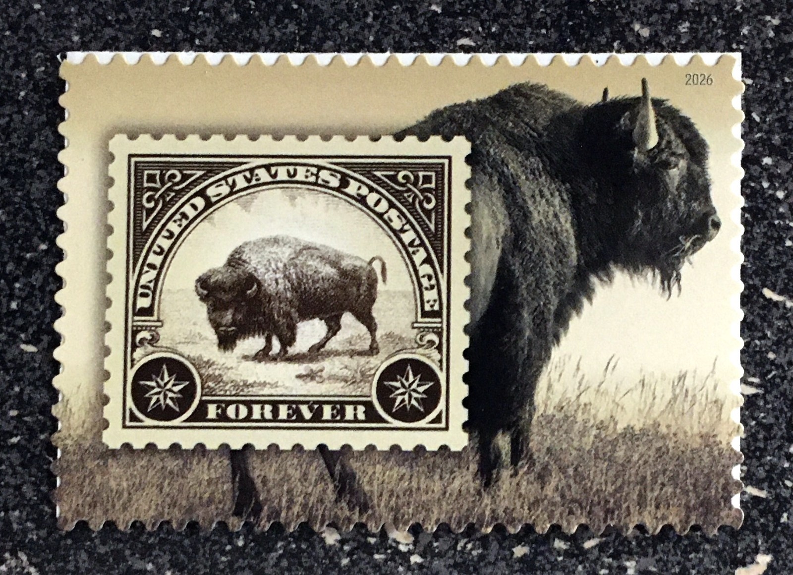 2026USA Forever American Bison Boston World Stamp Show – Single Stamp  mint