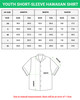 USA National Pride 250th Anniversary - 3D Print Hawaiian Shirt - Adults & Youth gallery