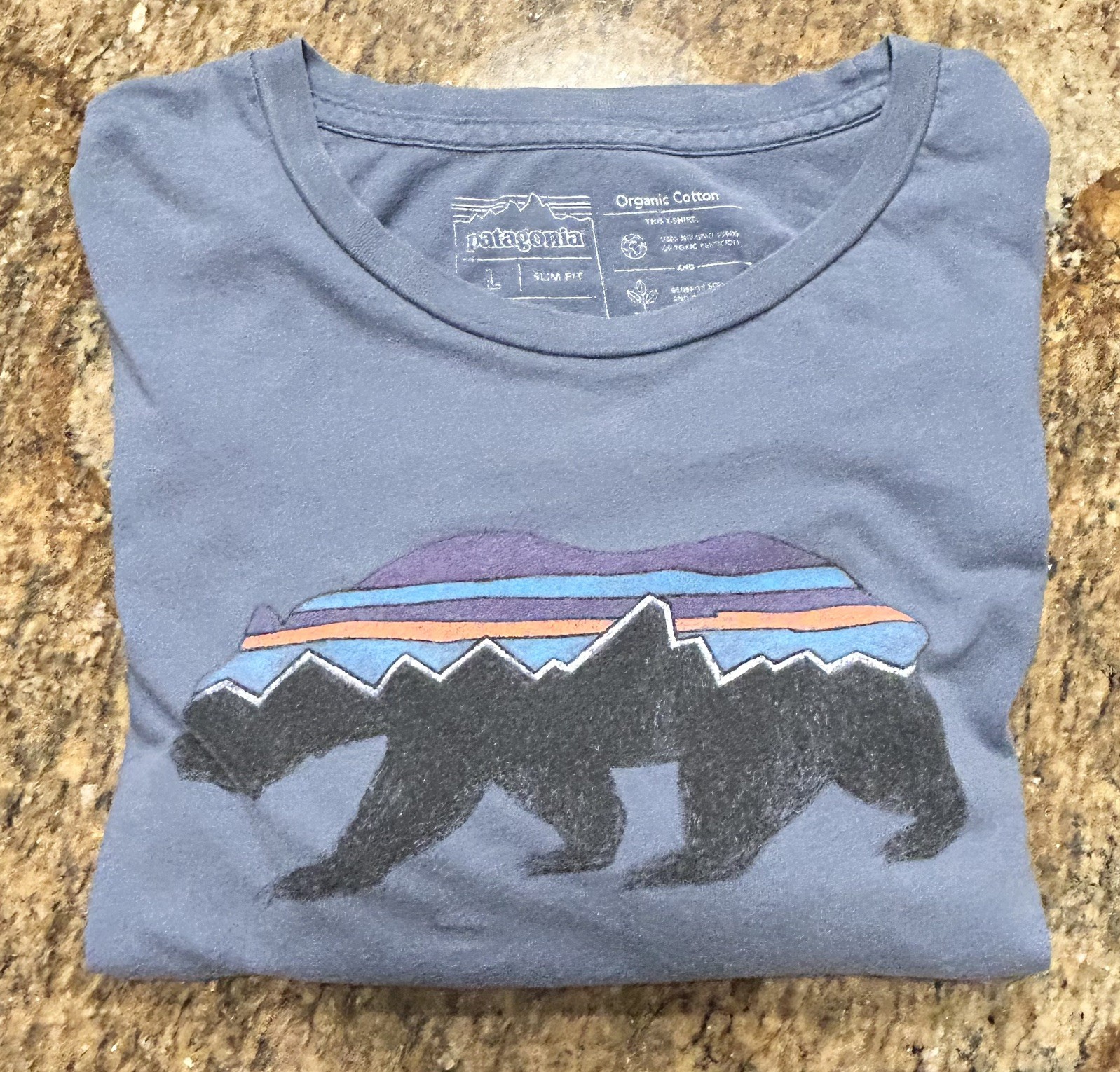 Patagonia Shirt Mens Large Blue Crew Short Sleeve Slim Fit Fitz Roy Bear Organic gallery