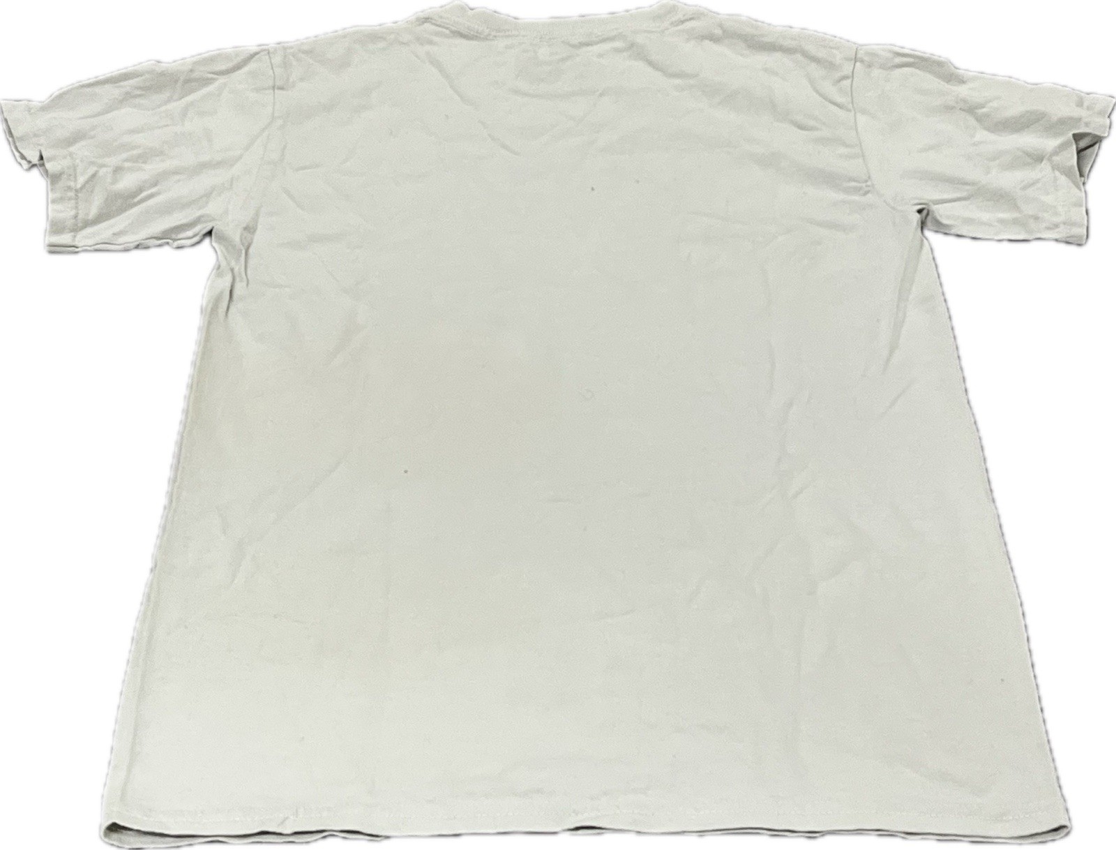 The Mountain First Amendment T-shirt, USA Flag, 100% Cotton, White, Small Eco gallery
