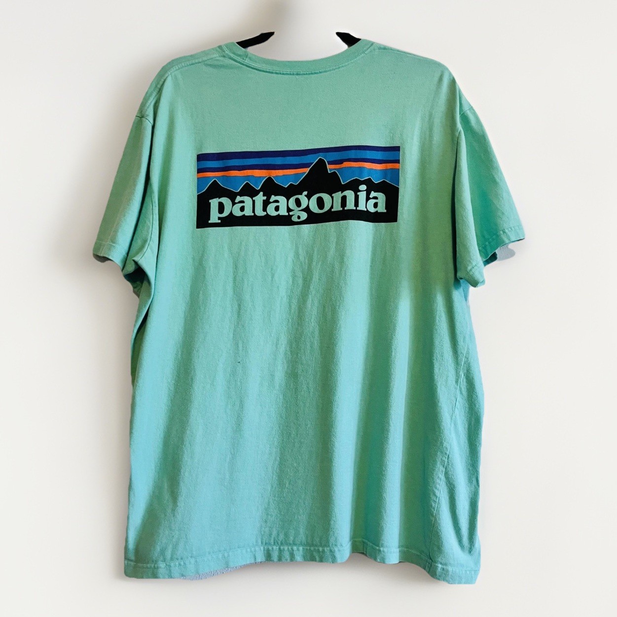 Patagonia Shirt Mens Large Green Regular Fit P-6 Logo Graphic Outdoor Tee gallery