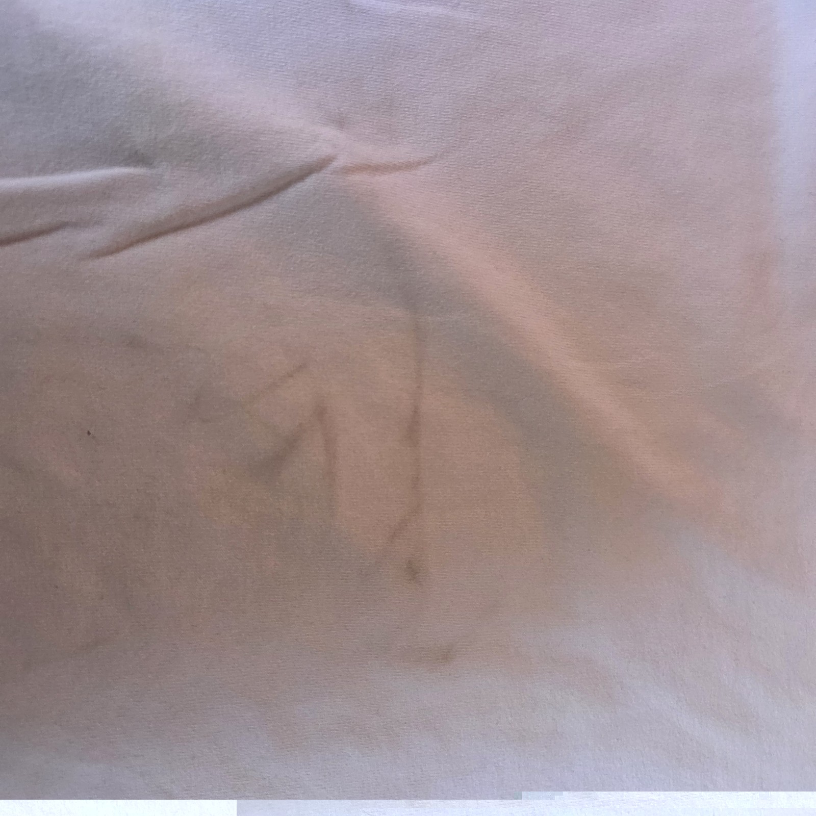 DIVE 33 CATALINA ls t-shirt tee shirt Sz. L gallery