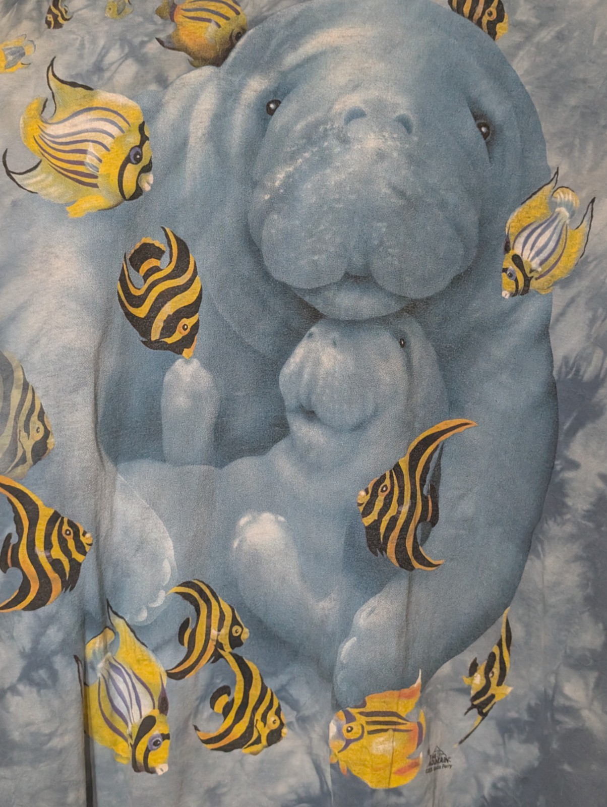 The Mountain Mens T-shirt Vintage 2005 Manatee & Angel Fish Flawed 2XL #6735 gallery