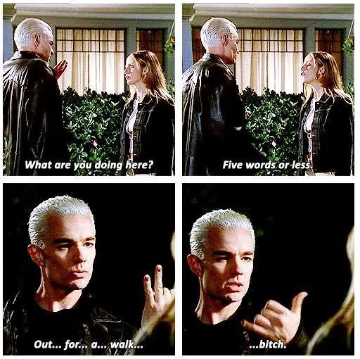 Out For A Walk Bitch T-Shirt ♡ Spike! Buffy the Vampire Slayer ✩ 90s Spuffy TV! gallery