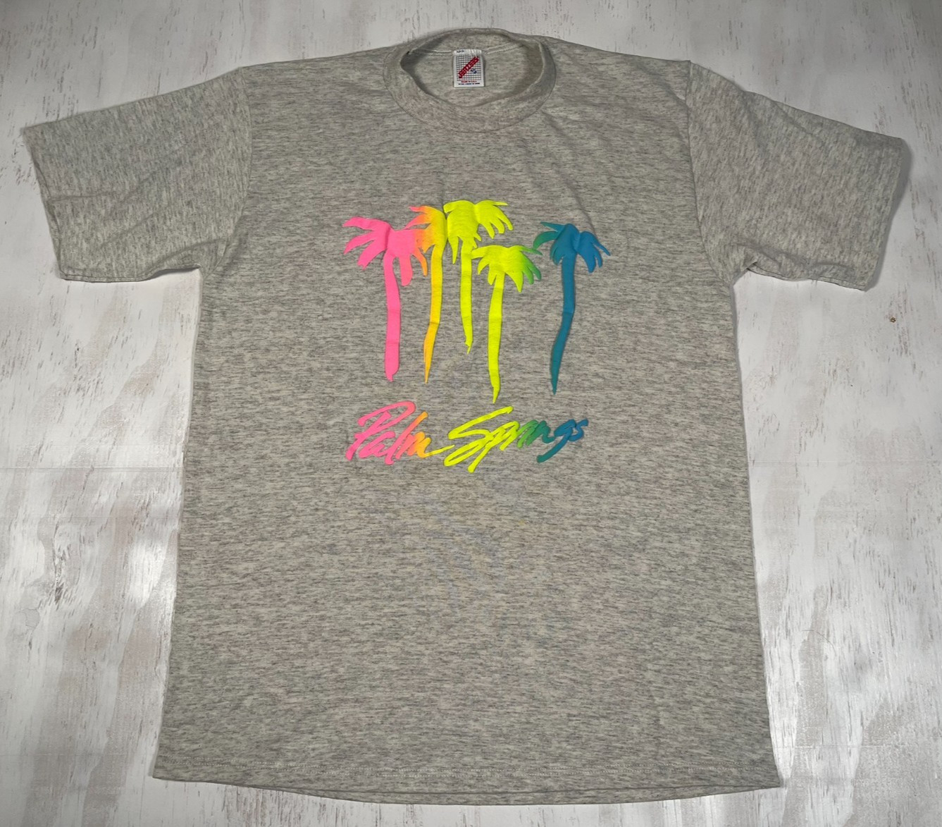 Vintage Palm Springs Men's XL Gray Tee Single Stitch Puff Paint Made in USA gallery