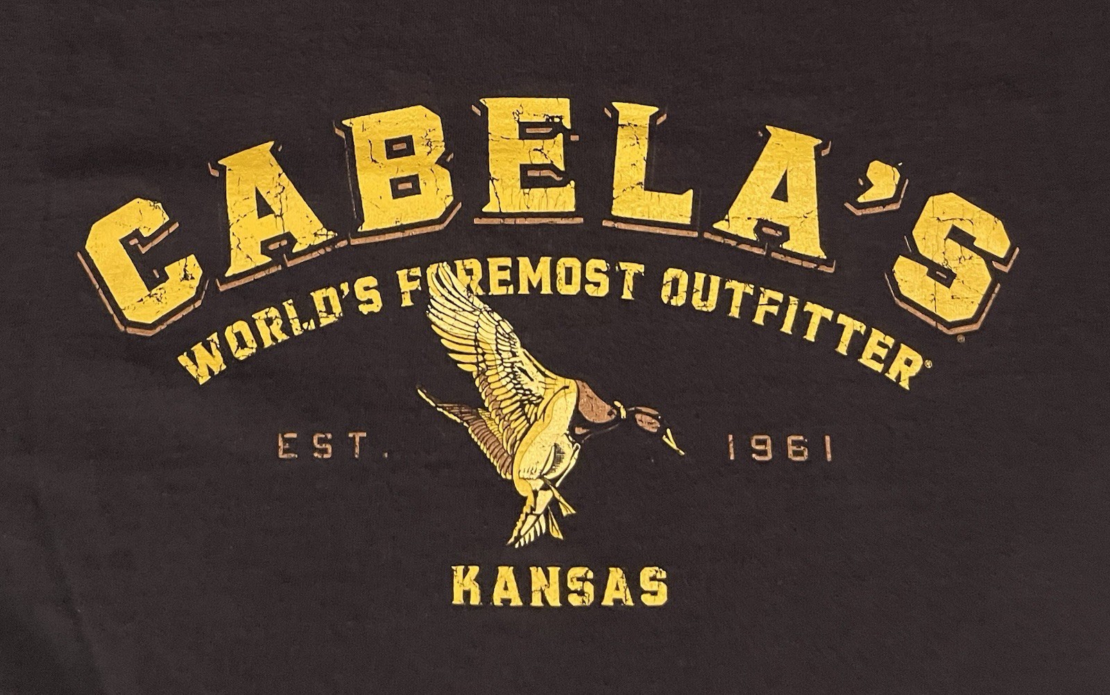 Cabela's Shirt Mens Y2K large purple 100% cotton duck 2000s Kansas outdoors gallery