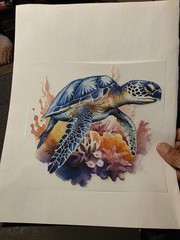 Custom Turtle Tshirts .