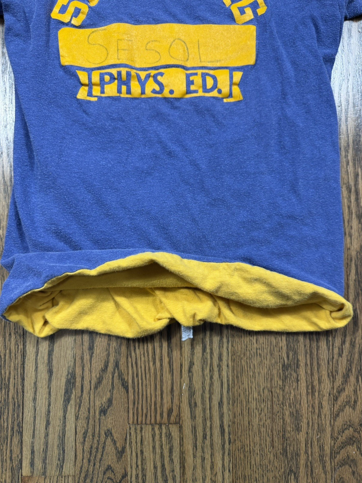 Vintage 60s 70s Sandburg High School Phys. Ed. Blue/ Yellow T Shirt Size Medium gallery