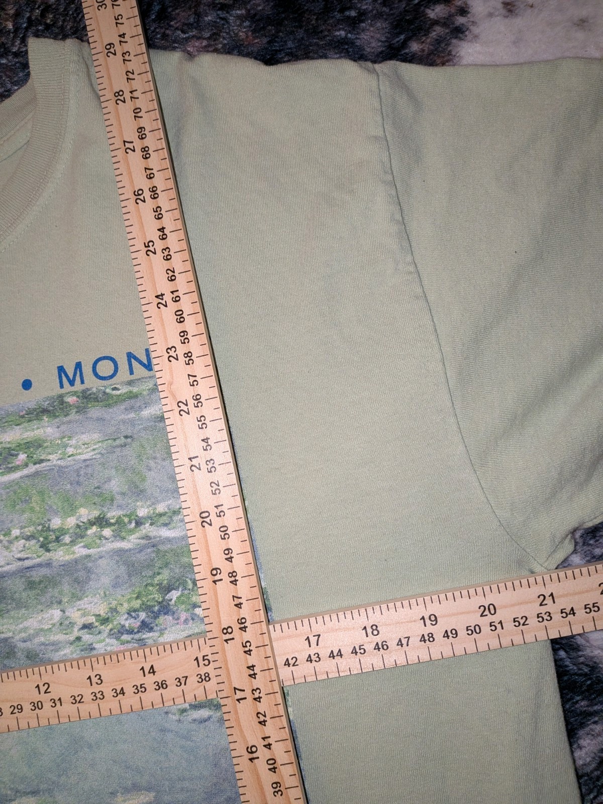 Gildan Ultra Cotton Men’s Green Monet Water Lilies Art Graphic Tee Crew Neck L gallery