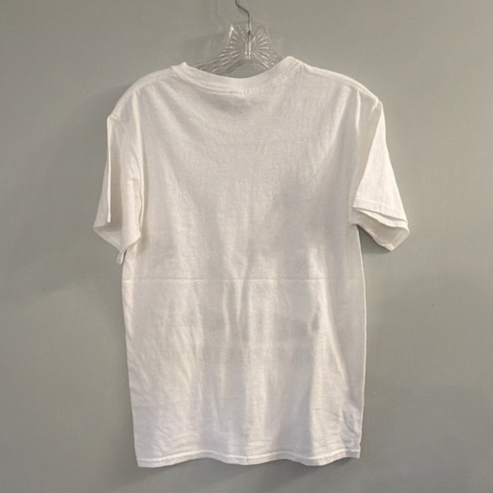 VTG 90s/00s 4-H Club T-shirt, Jerzees, Incubation & Embryology, EUC, Adult Sz SM gallery