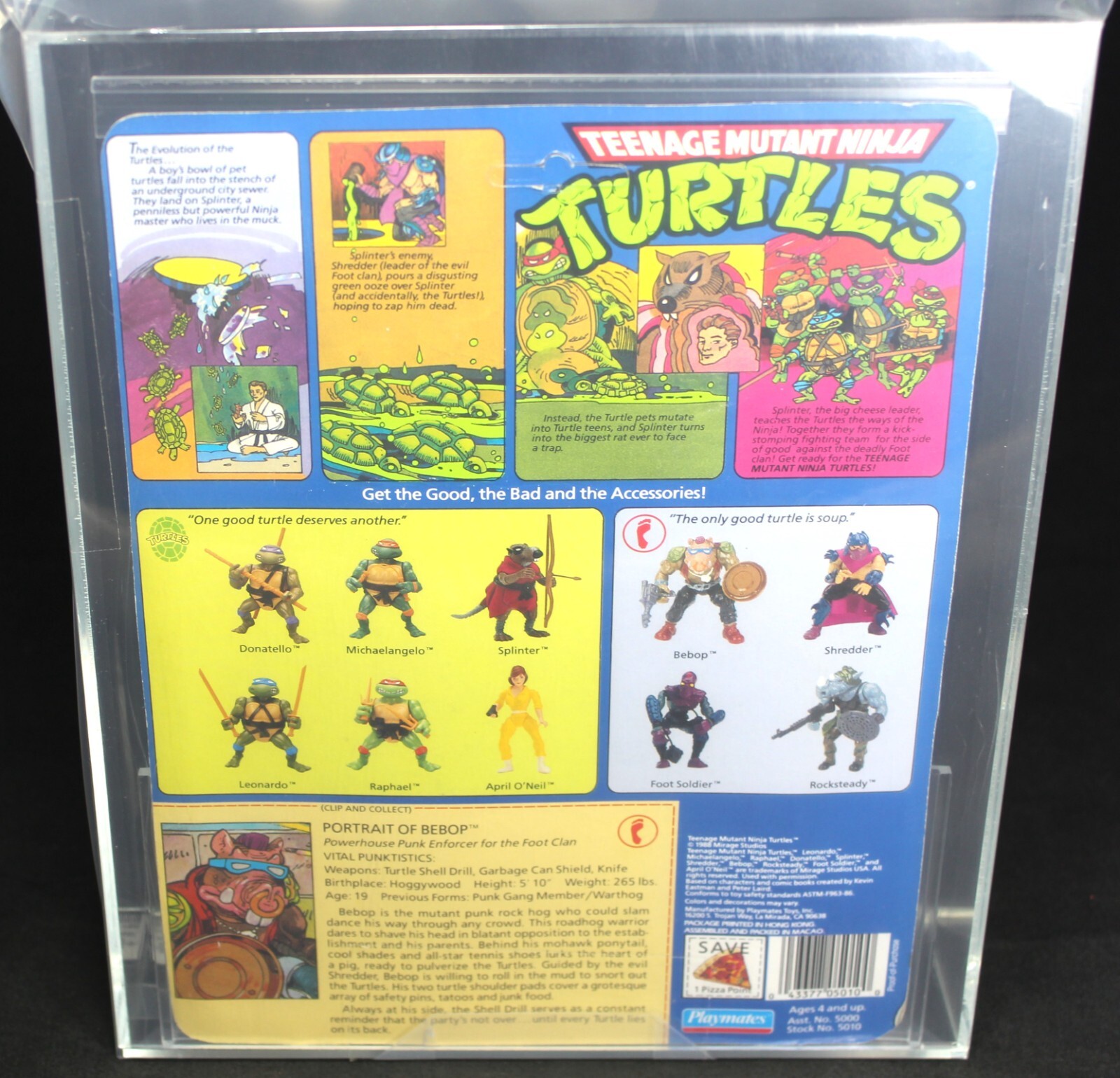 1988 TMNT Bebop 10-Back Series 1 MOC Figure – Soft Head – POP UP DISPLAY AFA 75+