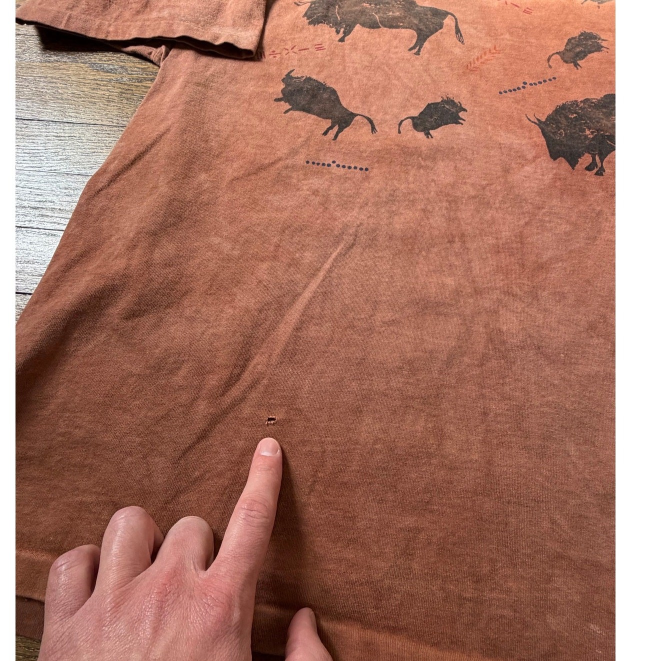 Vtg Andrea Bragg Designs 90's Distressed Buffalo Graphic Tee Size XXL gallery