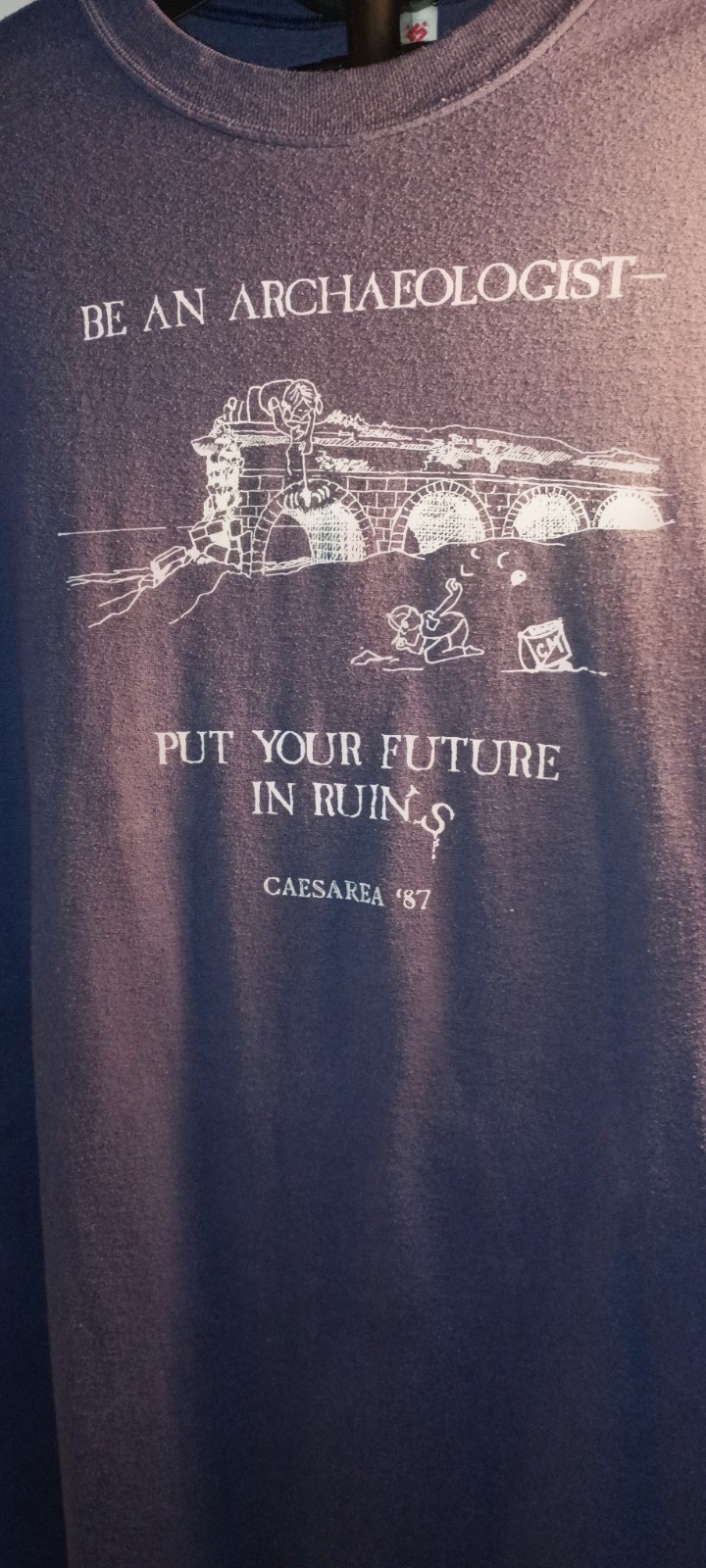 VGT Jerzees Graphic Print T Shirt Mens XL Caesarea Maritima in 87 archaeologists gallery