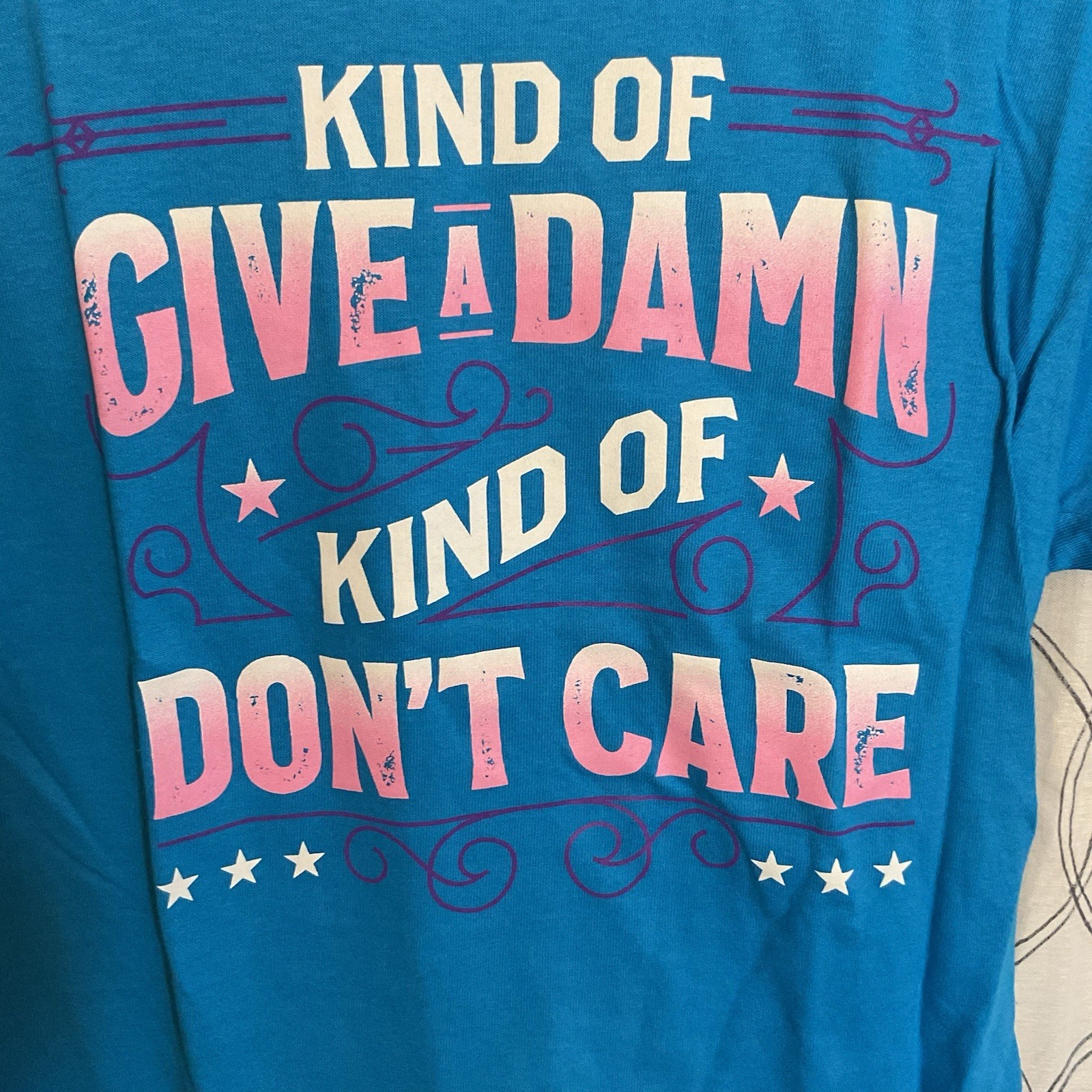 Delta Pro Weight Funny Graphic T-Shirt Adult Small Blue “Kind of Give a Damn” gallery