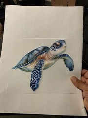 Custom Turtle Tshirts .