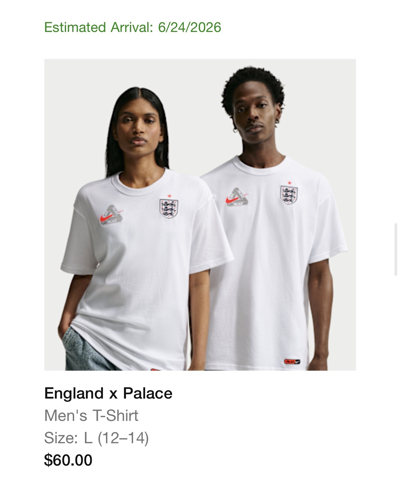 [Pre Sale] Nike x Palace x England World Cup T Shirt White | Men’s Size L gallery