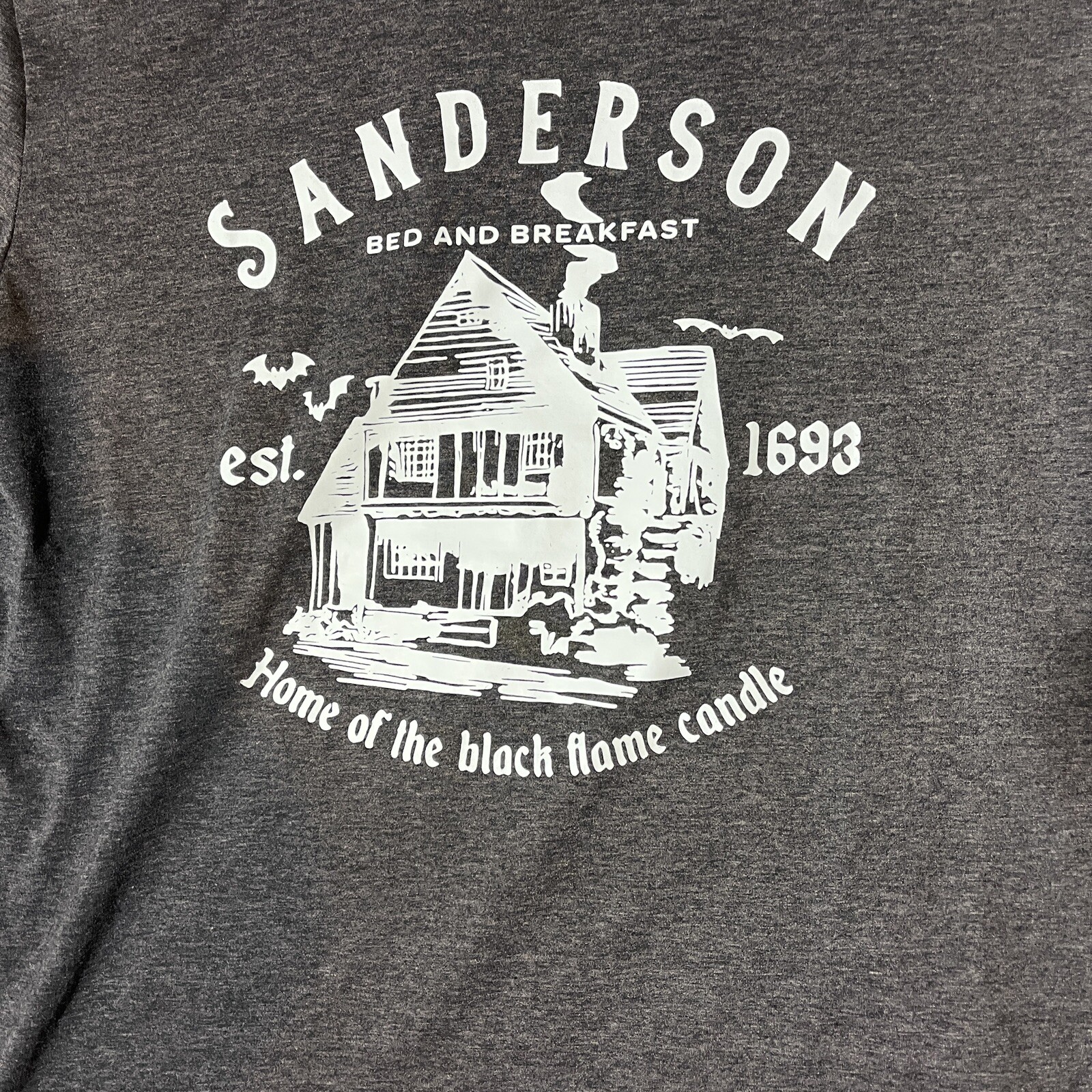 Sanderson Sisters Bed And Breakfast T-shirt Hocus Pocus XL Halloween Disney gallery