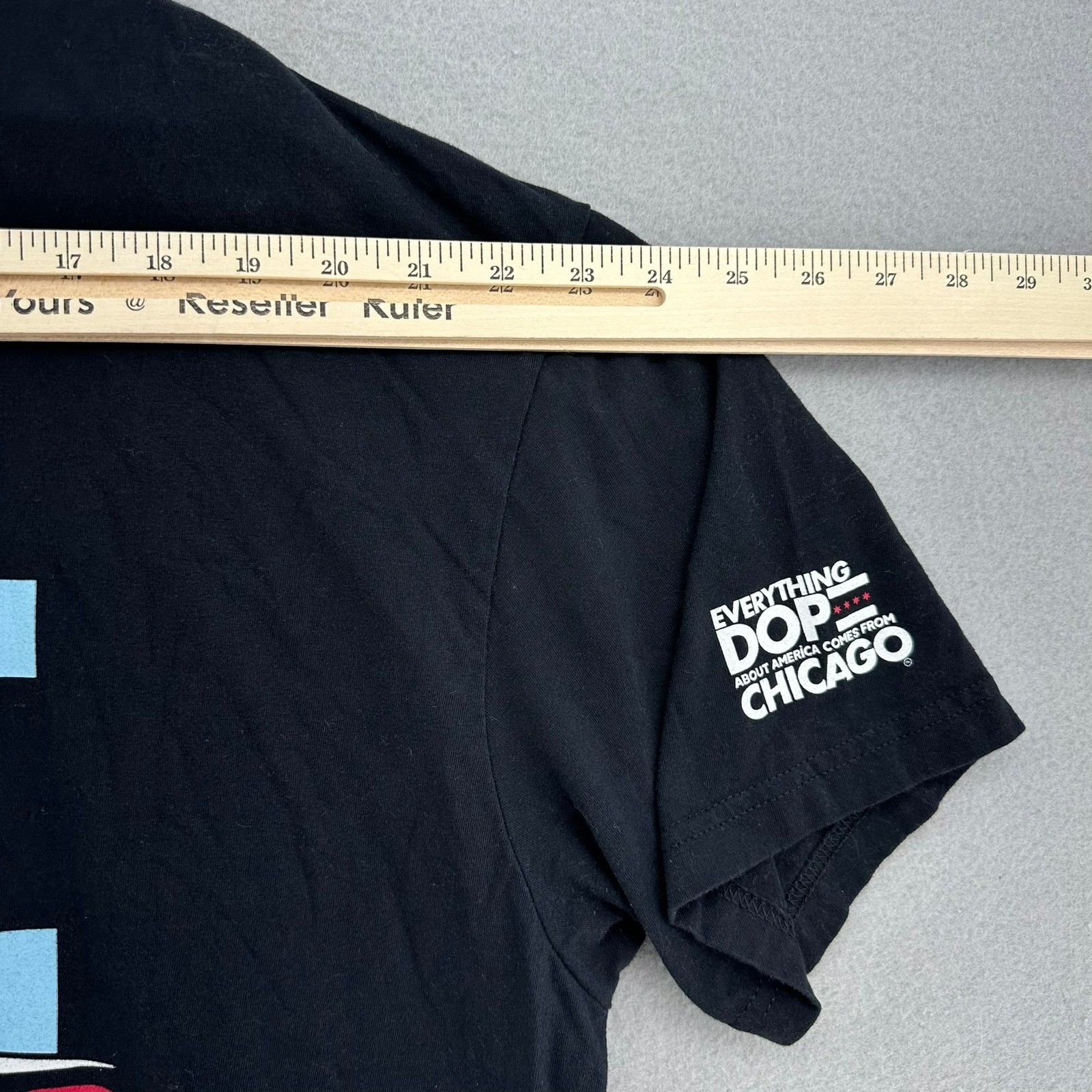 Chicago Mahogany Tours The Second City Is 2nd To None T Shirt 2XL USA Baggy DOP gallery