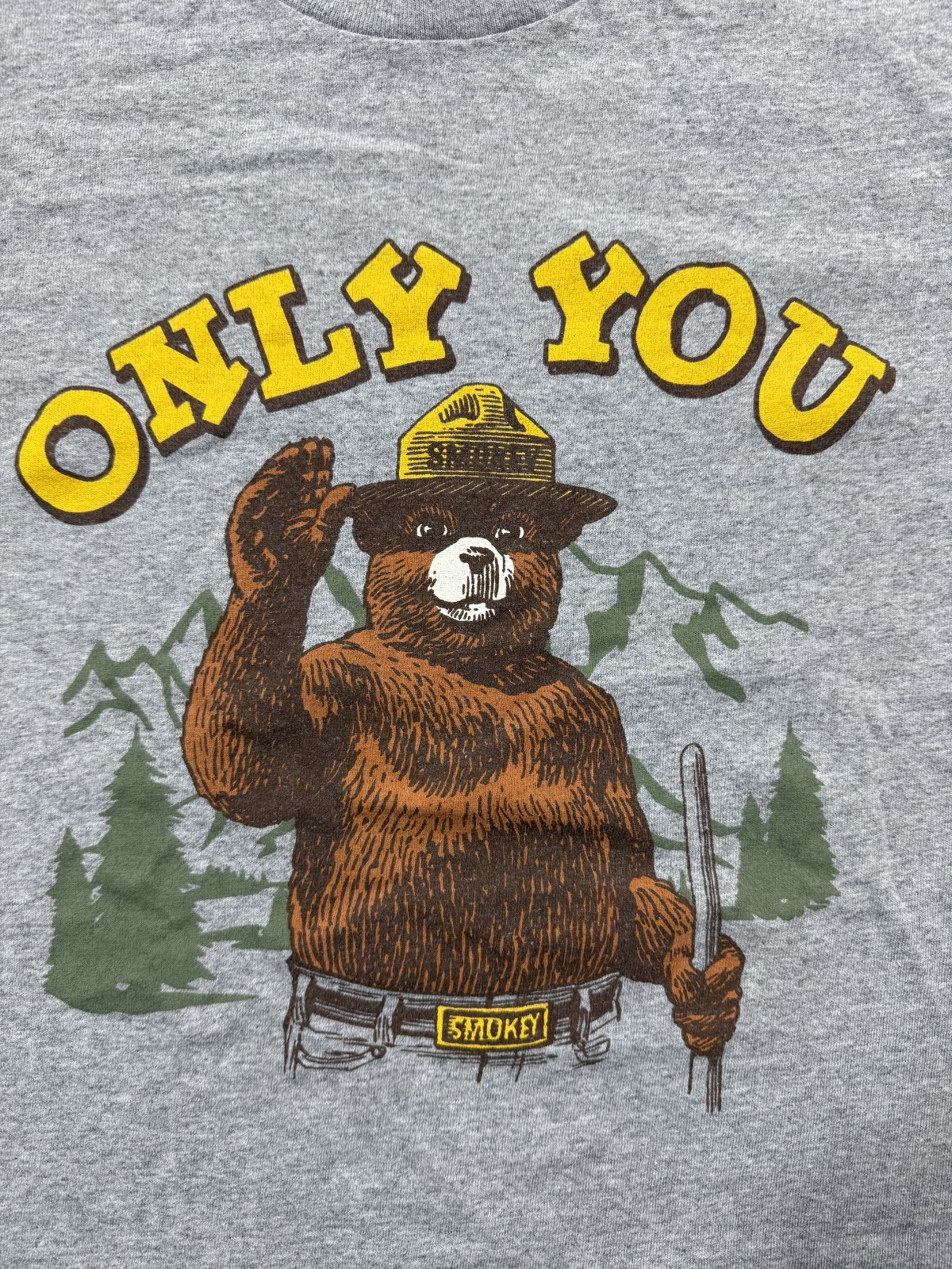 Smokey Bear Only You Forest Fire Prevention T Shirt Mens Large Gray Tee gallery